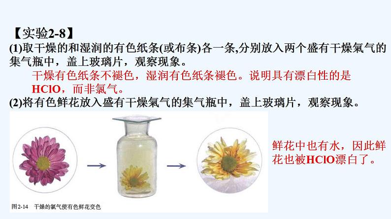 高中化学必修一 专题2.2.2 氯水成分的探究08