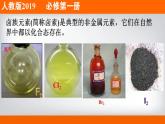 高中化学必修一 专题4.1.4 卤族元素备课堂课件））