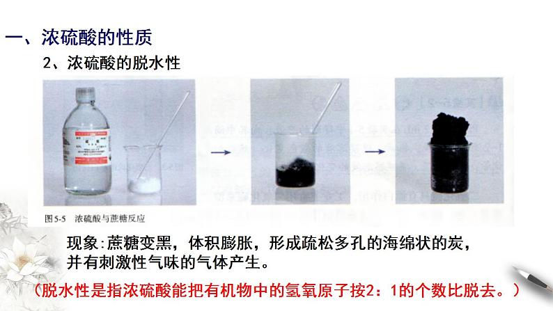 高中化学必修2 5.1.2 硫酸 课件06