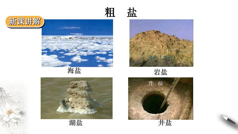 高中化学必修2 5.4《用化学沉淀法去除粗盐中的杂质离子》第3页