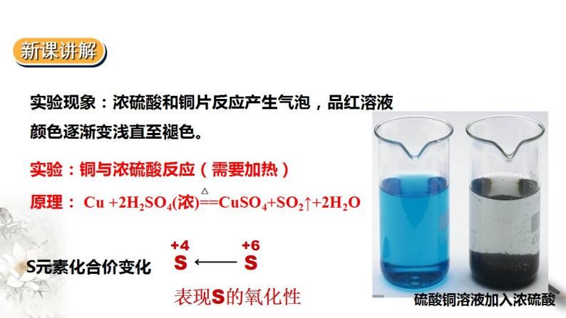 高中化学必修2 5.5实验活动5不同价态含硫物质的转化 课件08