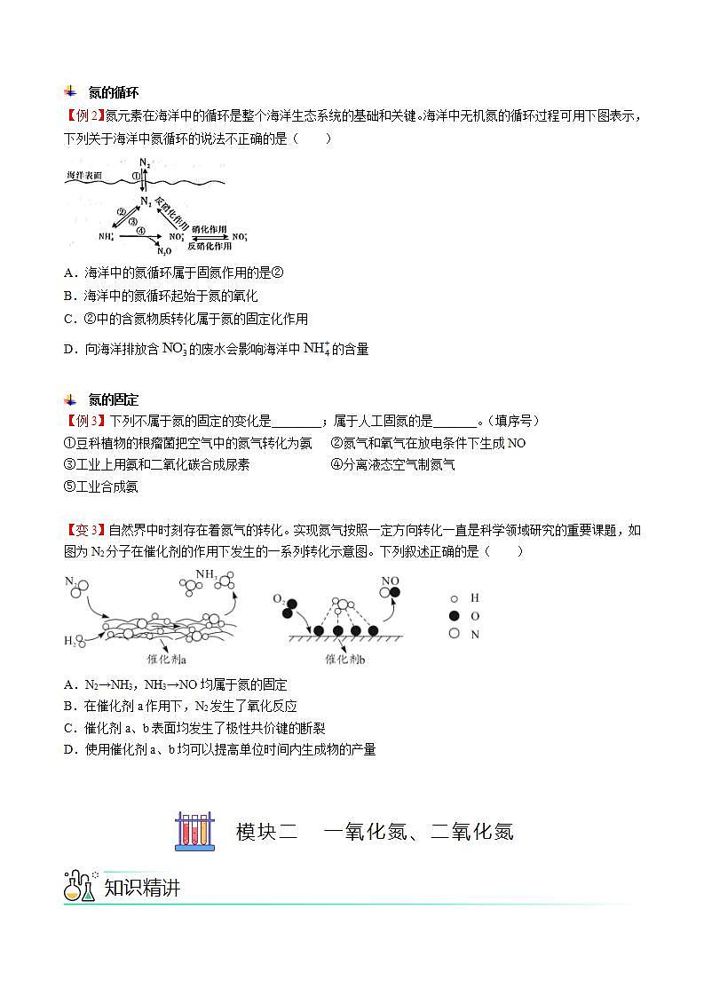 高中化学必修2 第03讲 氮气、一氧化氮、二氧化氮新学生版）第3页
