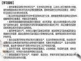 高中化學(xué)必修2 第八章 復(fù)習(xí)課件(共26張)