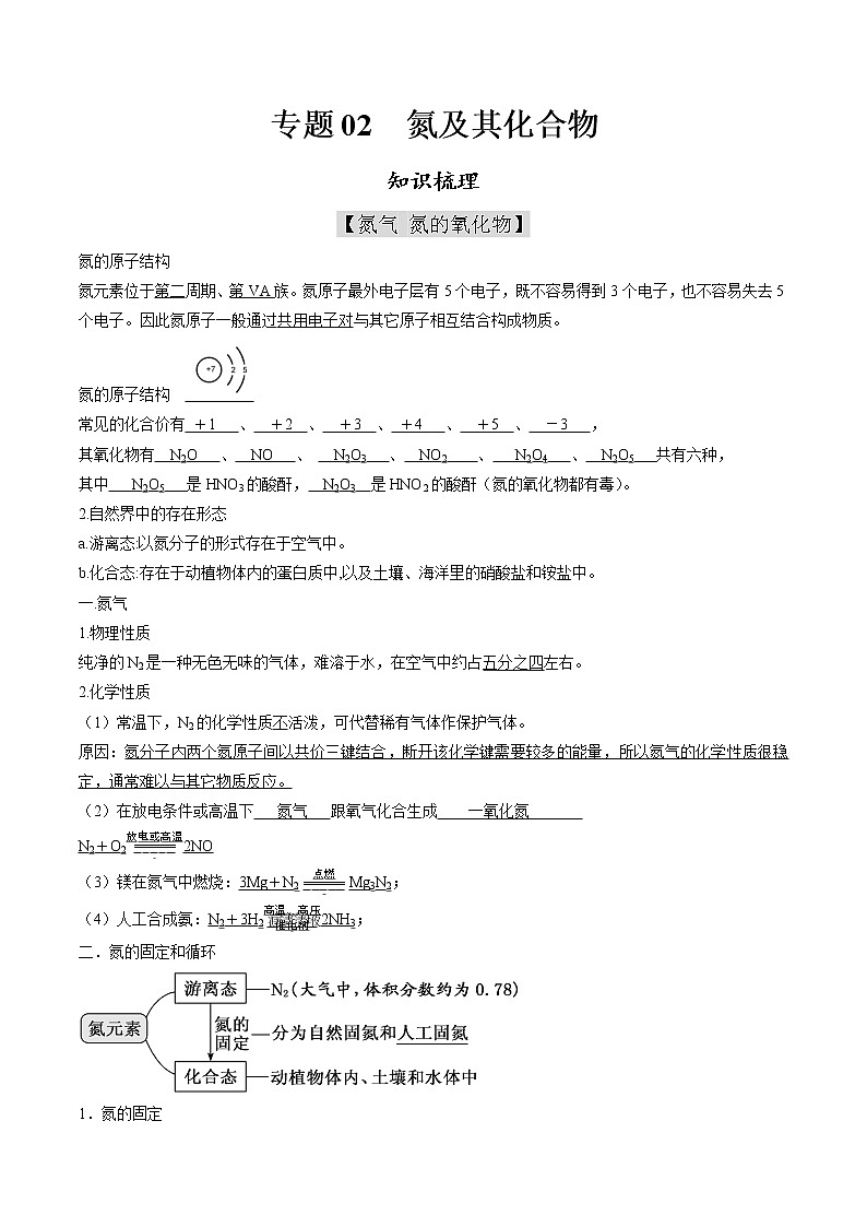 高中化学必修2 专题02 氮及其化合物知识梳理新解析版）01