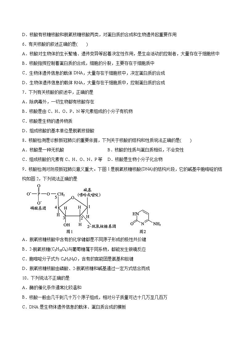 高中化学选择性必修三 第4章 第3节 核酸 习题第2页