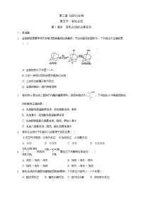 高中化学人教版 (2019)选择性必修3第五节 有机合成精练