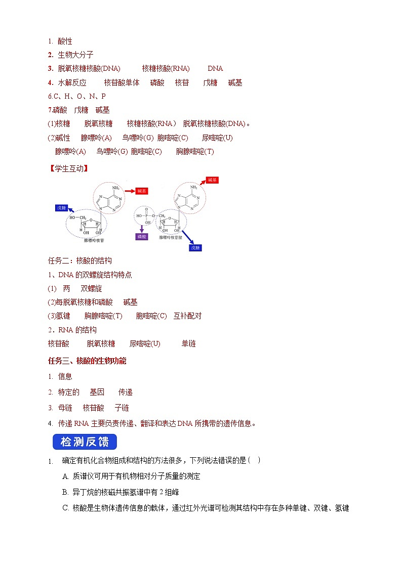 高中化学选择性必修三 4.3 核酸学案下学期（解析版）03