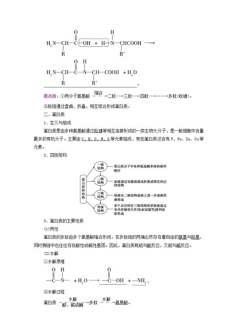 高中化学选择性必修三 第4章生物大分子第2节蛋白质学案03