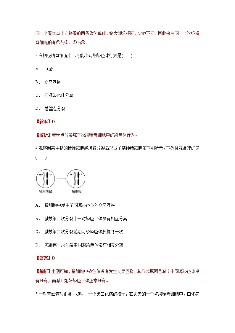 【新教材精创】2.1.1 减数分裂与受精作用 练习（1）（解析版）02