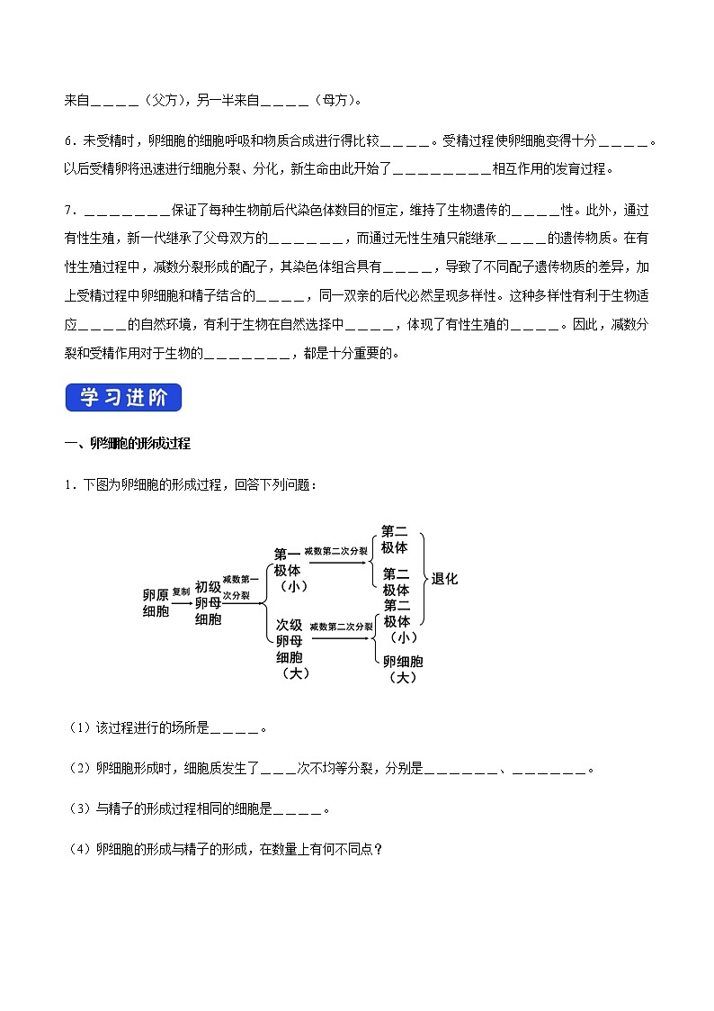 【新教材精创】2.1.2 减数分裂和受精作用 导学案（2）-人教版高中生物必修2遗传与进化02