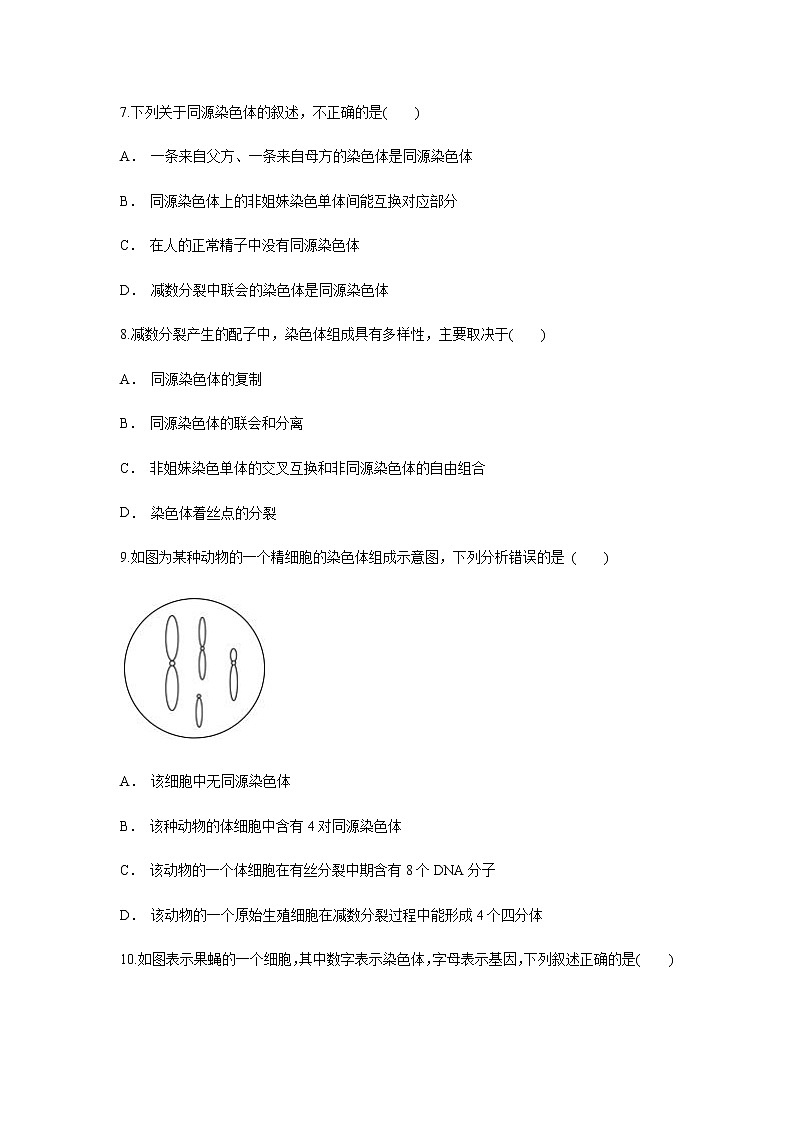 【新教材精创】2.1.1 减数分裂与受精作用 练习（1）（原卷版）第3页