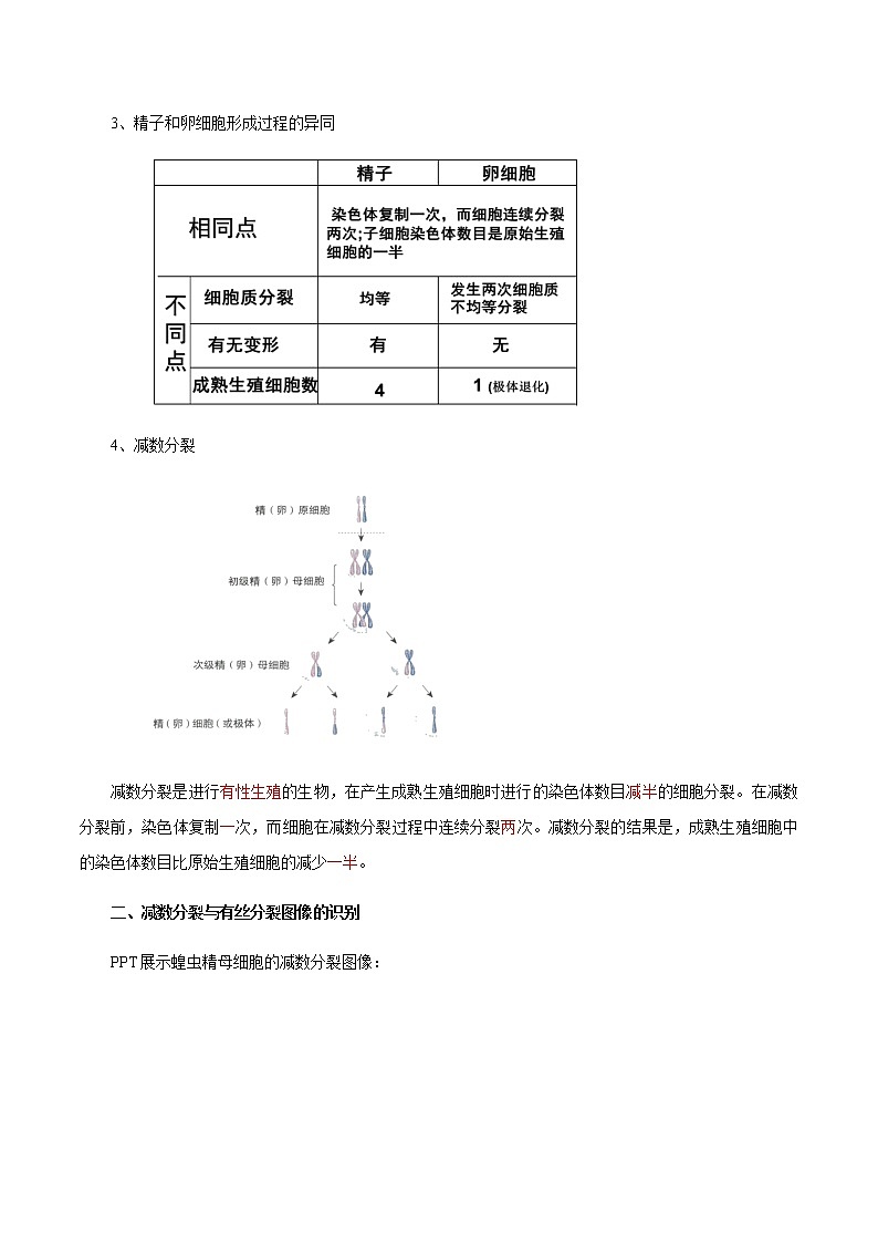 【新教材精创】2.1.2 减数分裂和受精作用 教学设计（2）-人教版高中生物必修2遗传与进化03