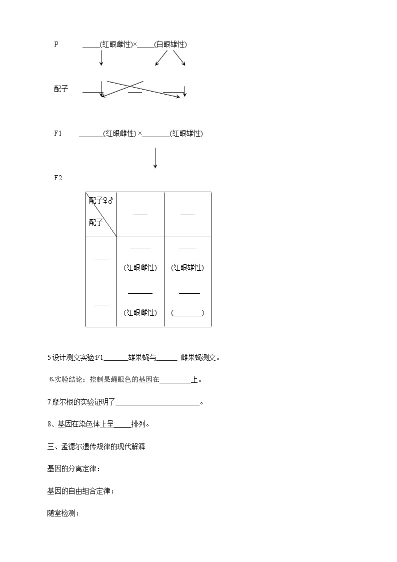 【新教材精创】2.2 基因在染色体上 导学案（1）-人教版高中生物必修2遗传与进化03