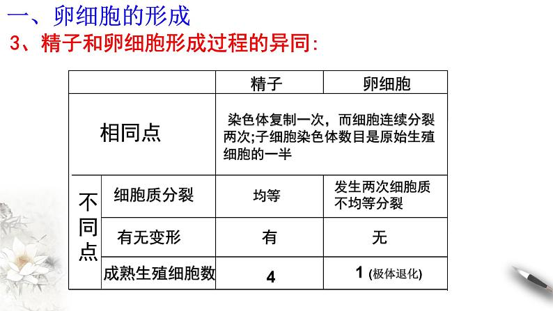 【新教材精创】2.1.2 减数分裂和受精作用 课件（2）-人教版高中生物必修2遗传与进化(共19张PPT)第4页