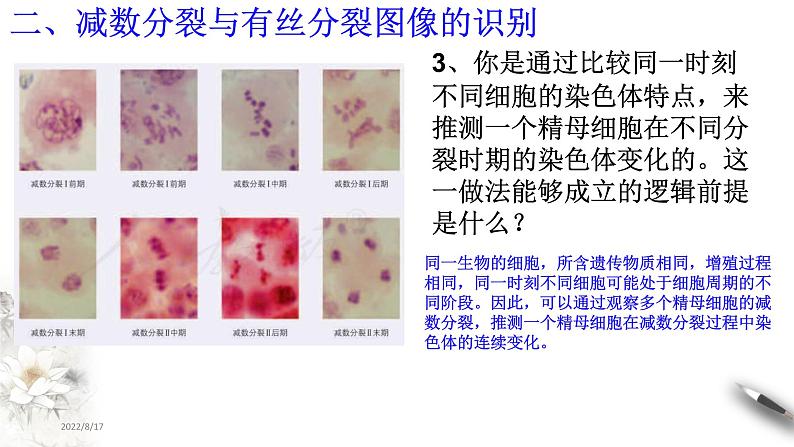 【新教材精创】2.1.2 减数分裂和受精作用 课件（2）-人教版高中生物必修2遗传与进化(共19张PPT)第8页