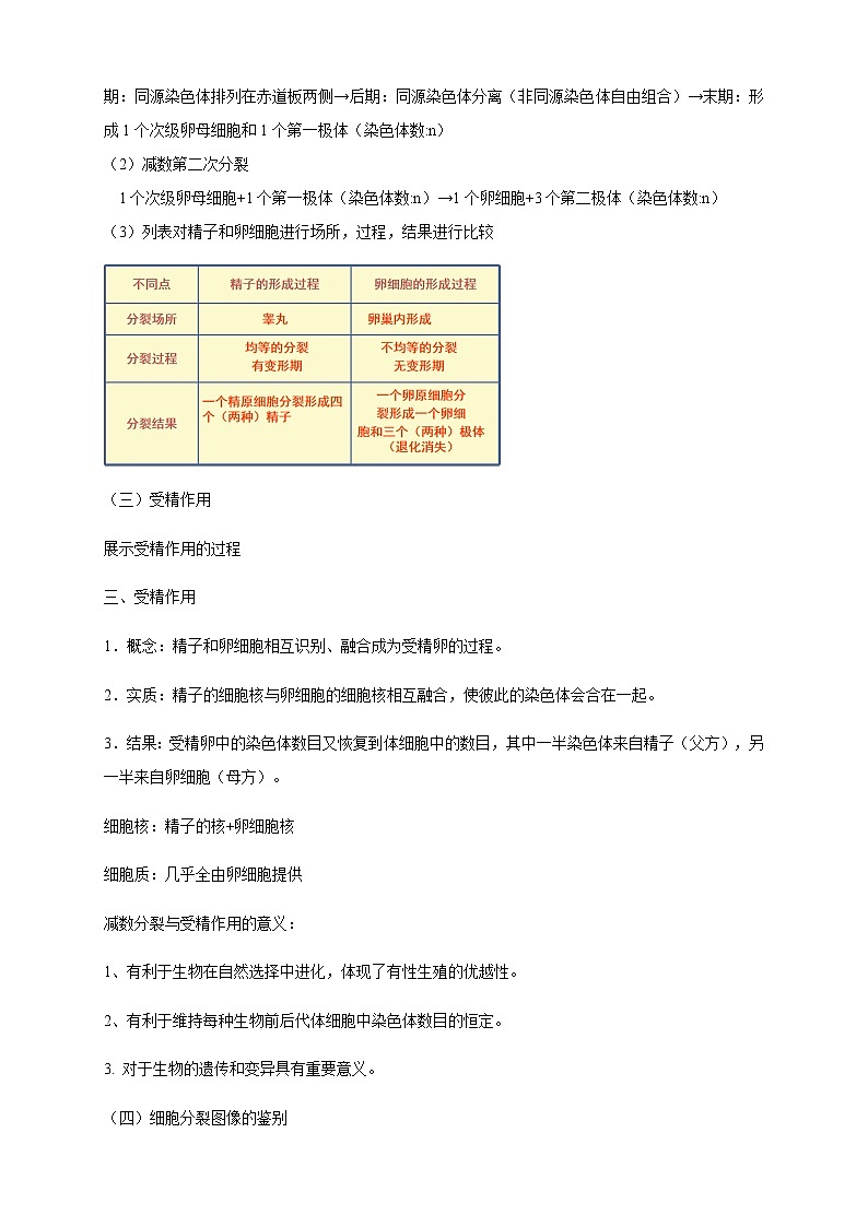 【新教材精创】2.1.2 减数分裂与受精作用 教学设计（1）-人教版高中生物必修2遗传与进化第2页