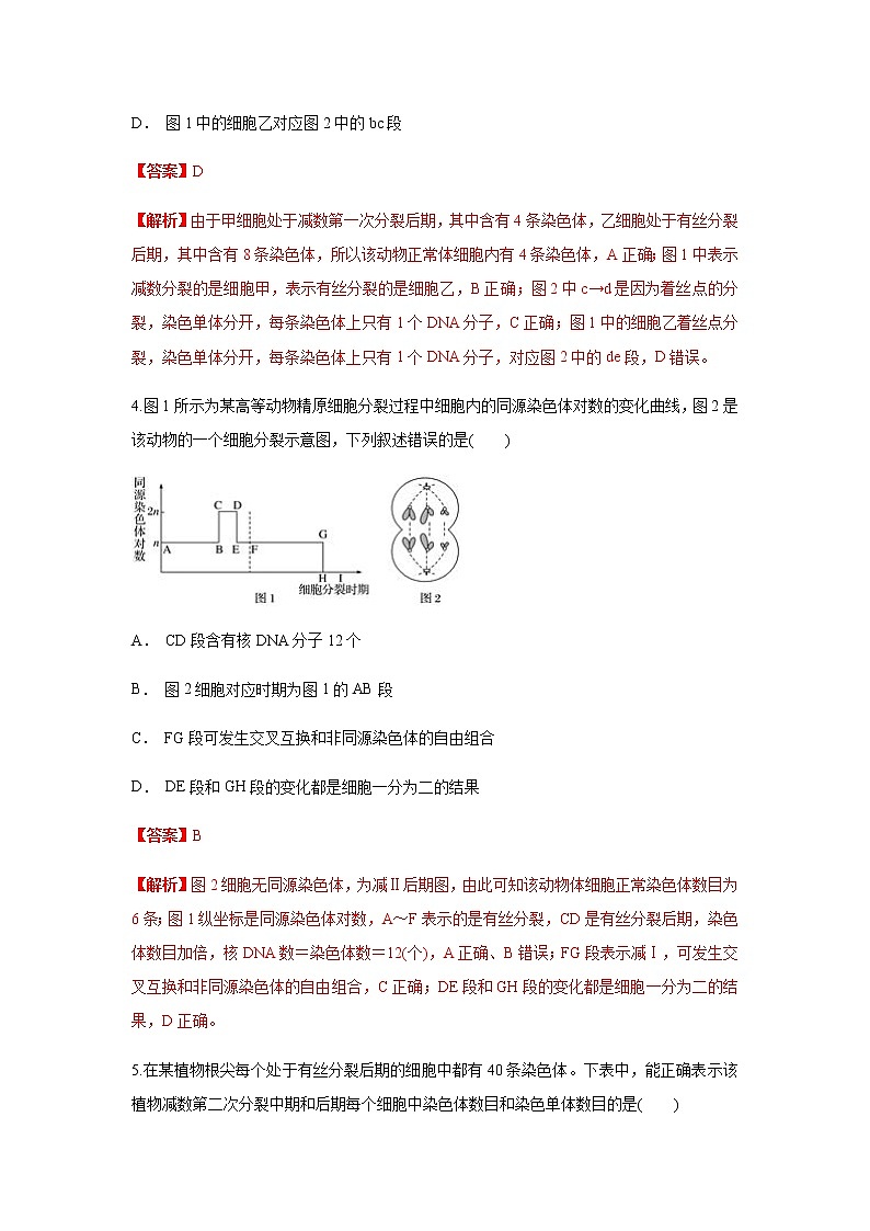 【新教材精创】2.1.2 减数分裂与受精作用 练习（1）（解析版）第3页