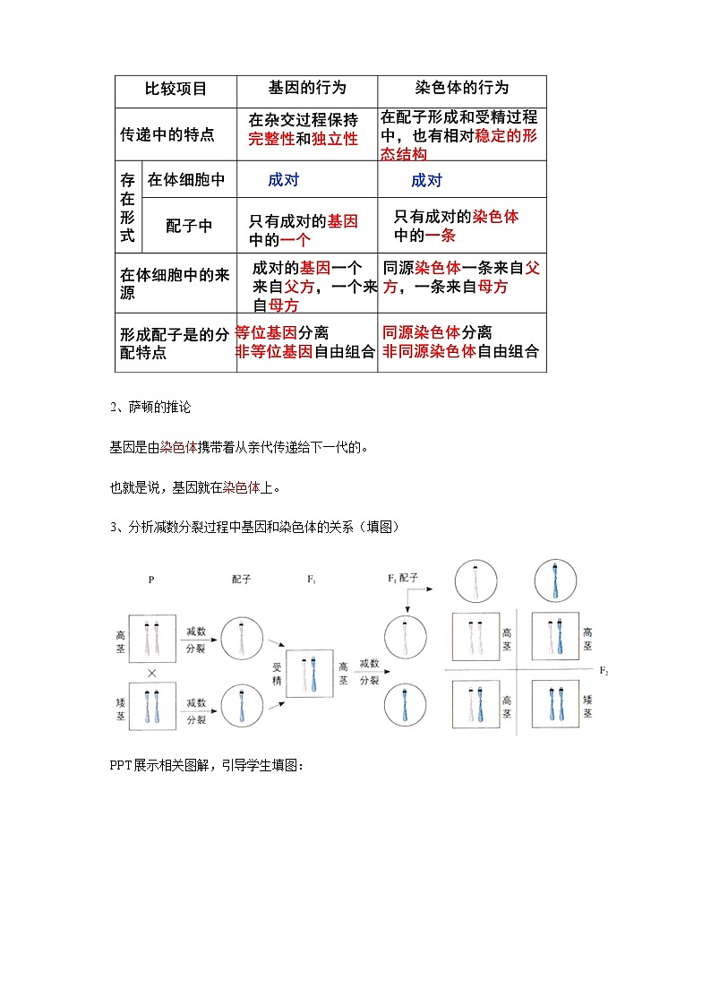【新教材精创】2.2 基因在染色体上 教学设计（2）-人教版高中生物必修2遗传与进化第3页