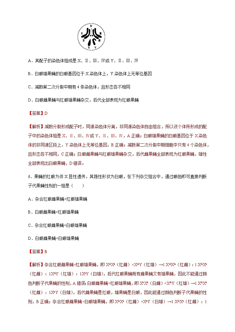 【新教材精创】2.2 基因在染色体上 练习（2）（解析版）第3页