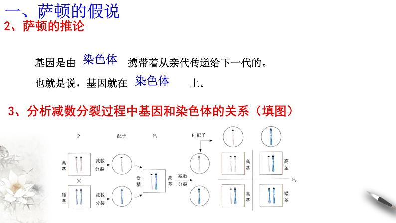 【新教材精创】2.2 基因在染色体上 课件（2）-人教版高中生物必修2遗传与进化(共23张PPT)第6页