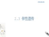 【新教材精创】2.3 伴性遗传 课件（1）-人教版高中生物必修2遗传与进化(共44张PPT)