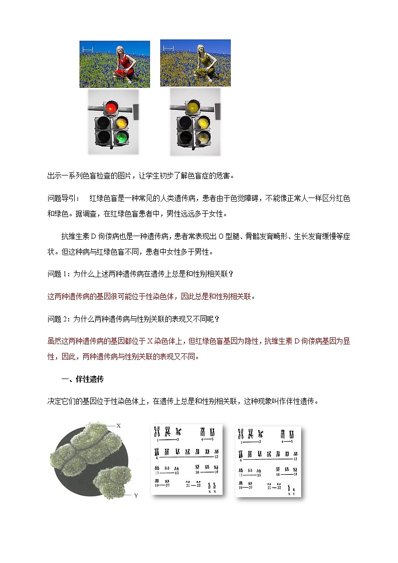 【新教材精创】2.3 伴性遗传 教学设计（2）-人教版高中生物必修2遗传与进化02