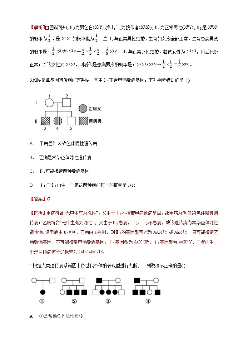 【新教材精创】2.3 伴性遗传 练习（1）（解析版）02