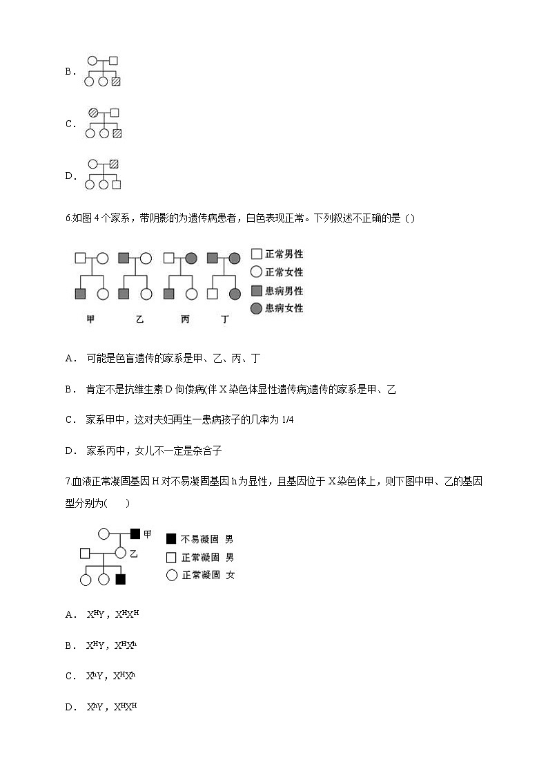 【新教材精创】2.3 伴性遗传 练习（1）（原卷版）第3页