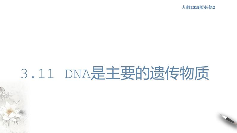 【新教材精创】3.1 DNA是主要的遗传物质 课件（1）-人教版高中生物必修2遗传与进化(共18张PPT)第1页