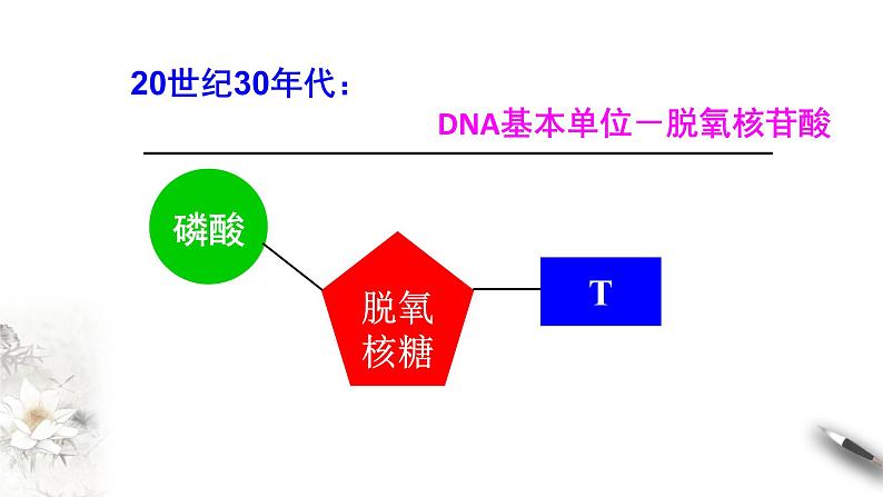 【新教材精创】3.1 DNA是主要的遗传物质 课件（1）-人教版高中生物必修2遗传与进化(共18张PPT)第5页