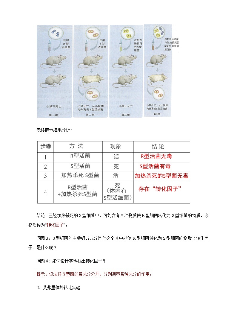 【新教材精创】3.1 DNA是主要的遗传物质 教学设计（2）-人教版高中生物必修2遗传与进化03