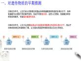【新教材精创】3.1 DNA是主要的遗传物质 课件（2）-人教版高中生物必修2遗传与进化(共26张PPT)