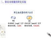 【新教材精创】3.1 DNA是主要的遗传物质 课件（2）-人教版高中生物必修2遗传与进化(共26张PPT)