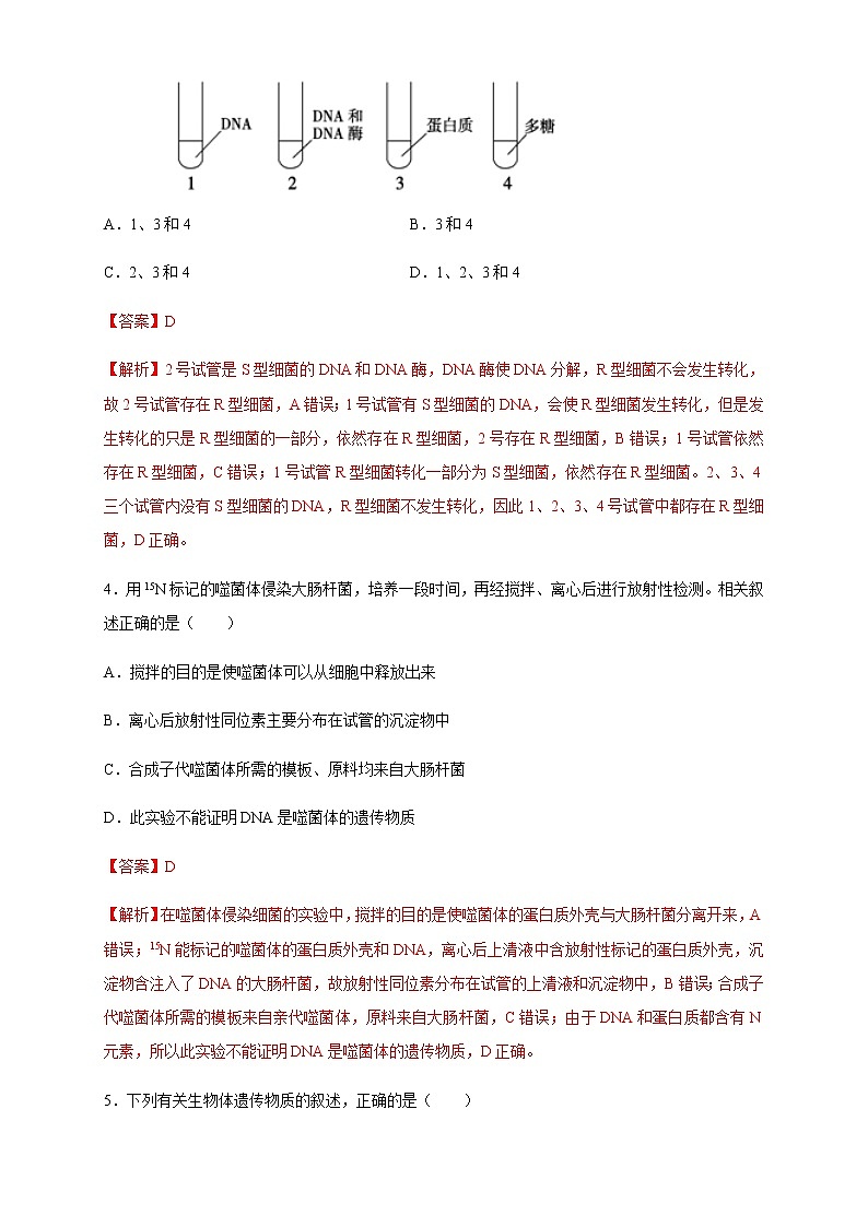 【新教材精创】3.1 DNA是主要的遗传物质 练习（2）（解析版）02