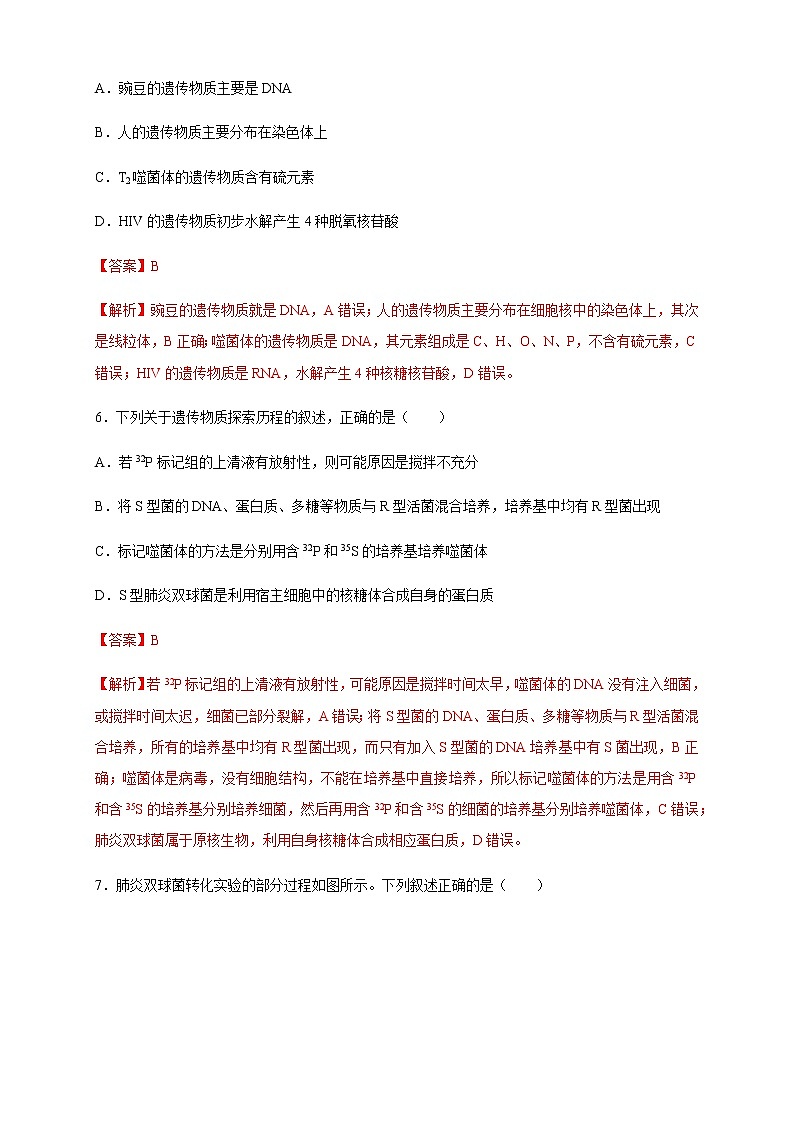 【新教材精创】3.1 DNA是主要的遗传物质 练习（2）（解析版）03
