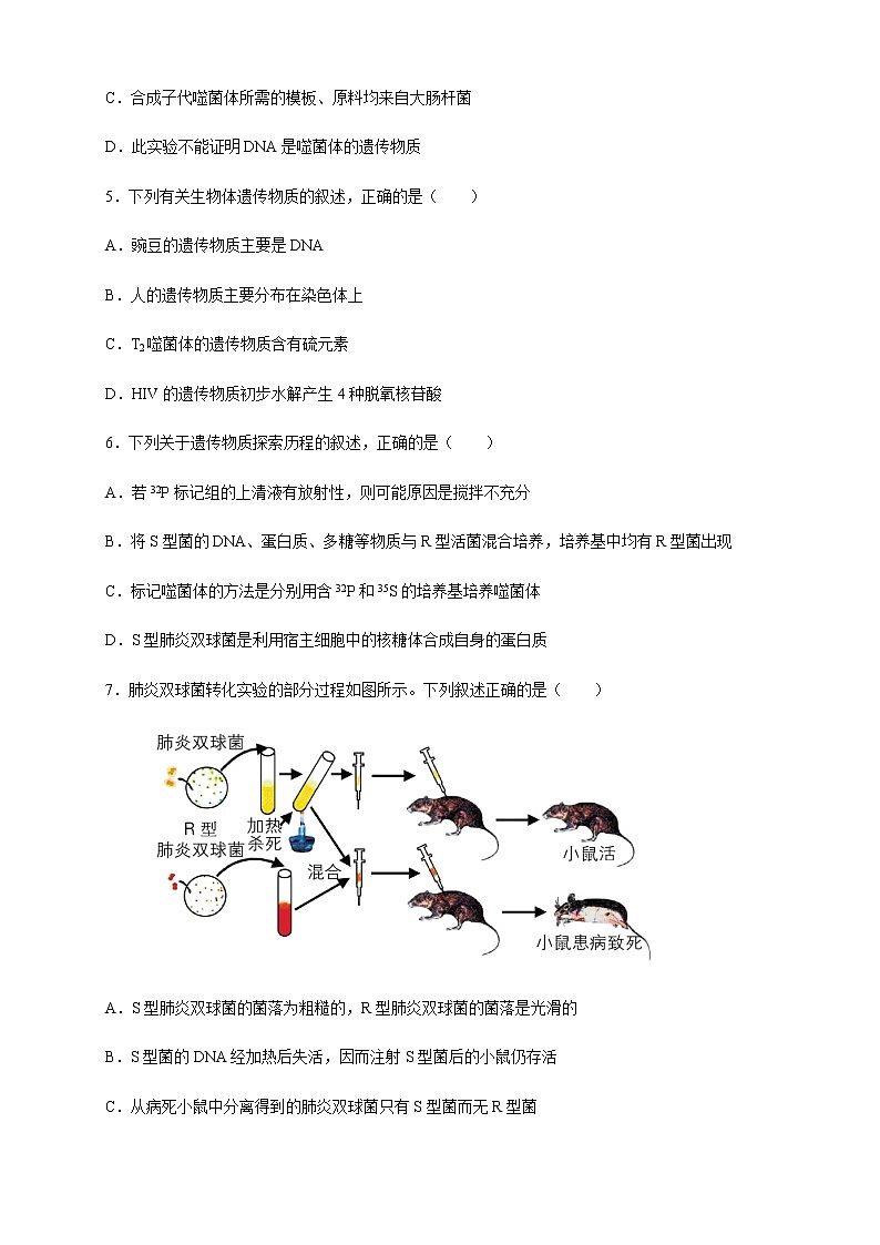 【新教材精创】3.1 DNA是主要的遗传物质 练习（2）（原卷版）02
