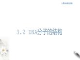 【新教材精创】3.2 DNA的结构 课件（1）-人教版高中生物必修2遗传与进化　(共26张PPT)