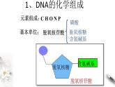 【新教材精创】3.2 DNA的结构 课件（1）-人教版高中生物必修2遗传与进化　(共26张PPT)