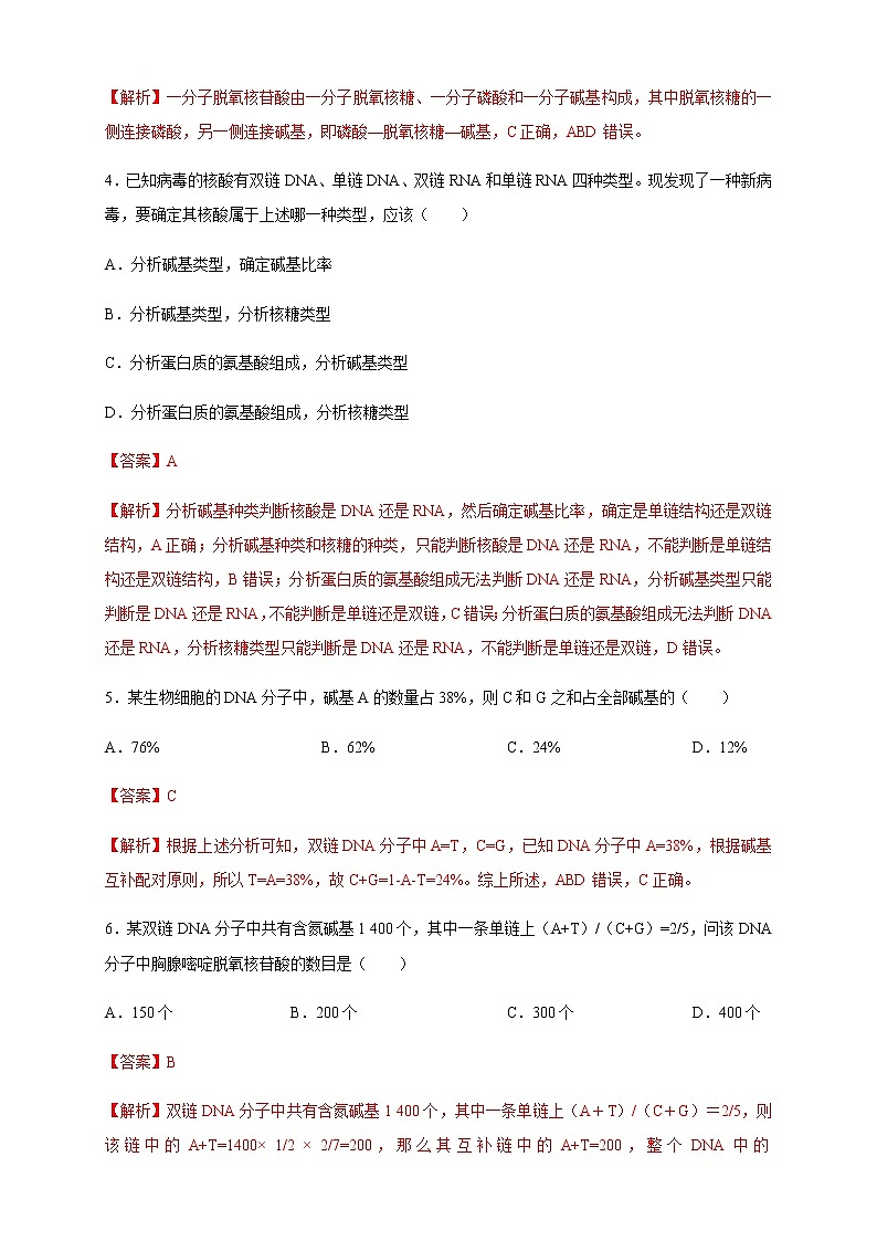 【新教材精创】3.2 DNA的结构 练习（2）（解析版）02