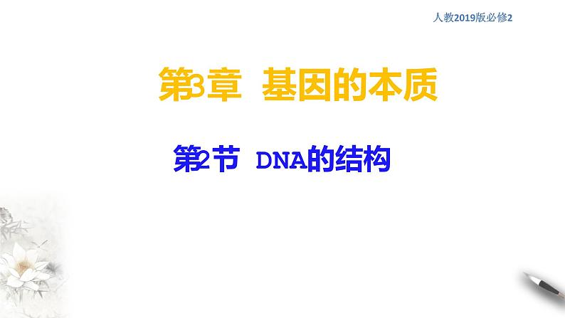 【新教材精创】3.2 DNA的结构 课件（2）-人教版高中生物必修2遗传与进化　(共27张PPT)01