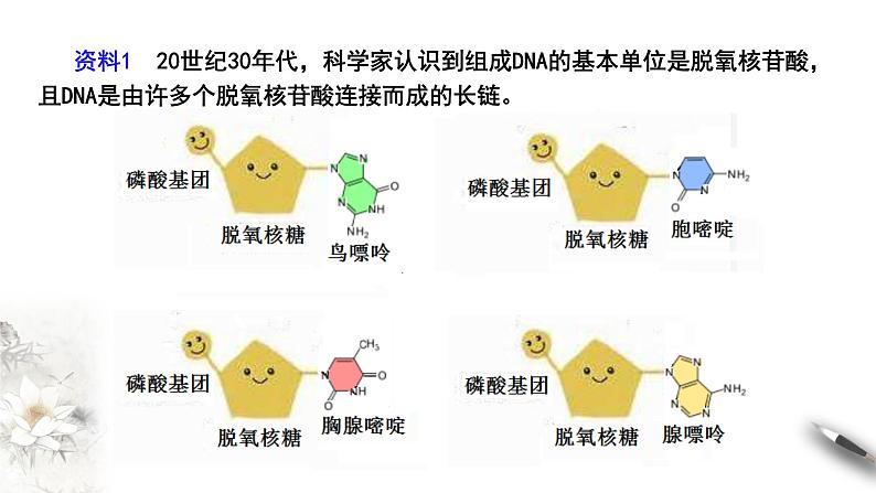 【新教材精创】3.2 DNA的结构 课件（2）-人教版高中生物必修2遗传与进化　(共27张PPT)07