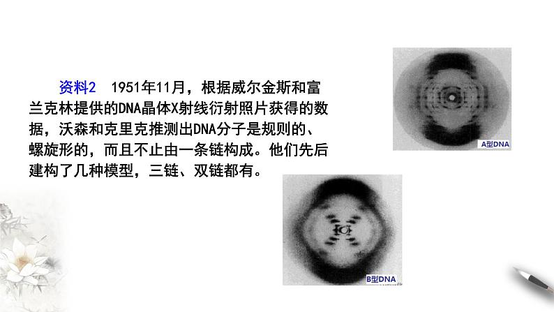 【新教材精创】3.2 DNA的结构 课件（2）-人教版高中生物必修2遗传与进化　(共27张PPT)08