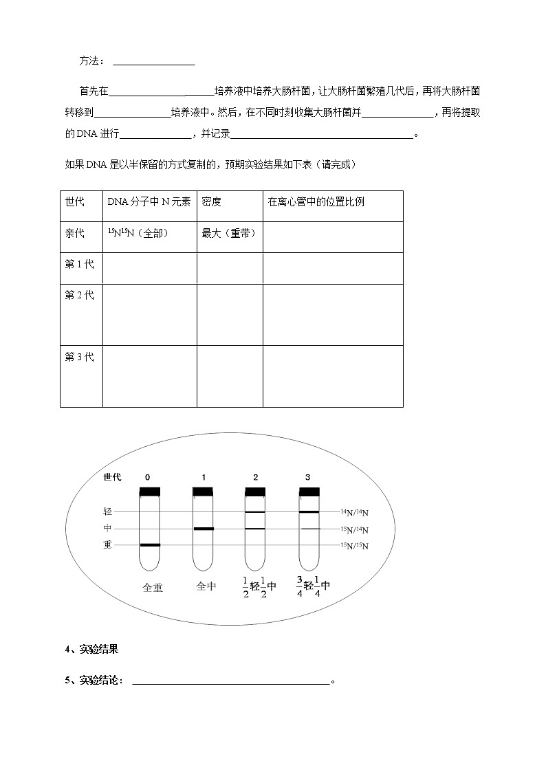 【新教材精创】3.3 DNA的复制 导学案（1）-人教版高中生物必修2遗传与进化第2页