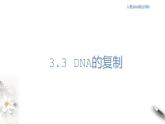 【新教材精创】3.3 DNA的复制 课件（1）-人教版高中生物必修2遗传与进化　(共17张PPT)