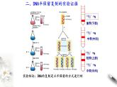 【新教材精创】3.3 DNA的复制 课件（1）-人教版高中生物必修2遗传与进化　(共17张PPT)