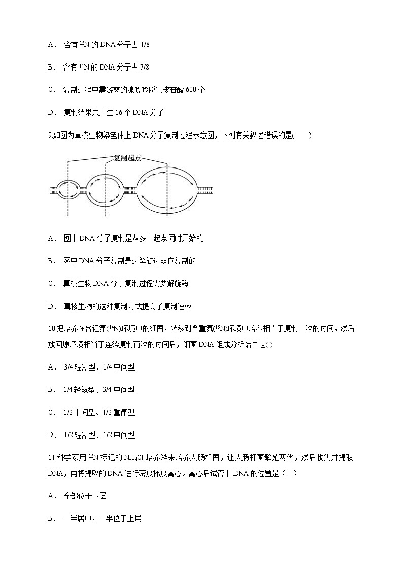 【新教材精创】3.3 DNA的复制 练习（1）（原卷版）第3页