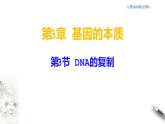 【新教材精创】3.3 DNA的复制 课件（2）-人教版高中生物必修2遗传与进化　(共23张PPT)