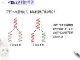 【新教材精创】3.3 DNA的复制 课件（2）-人教版高中生物必修2遗传与进化　(共23张PPT)