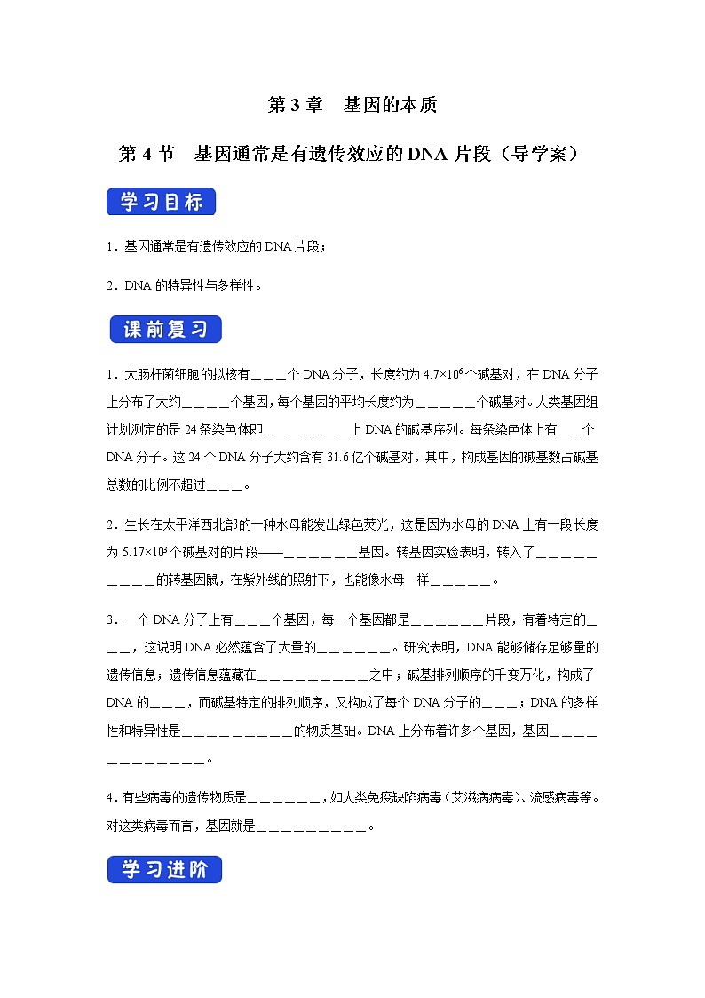 【新教材精创】3.4 基因通常是有遗传效应的DNA片段 导学案（2）-人教版高中生物必修2遗传与进化01