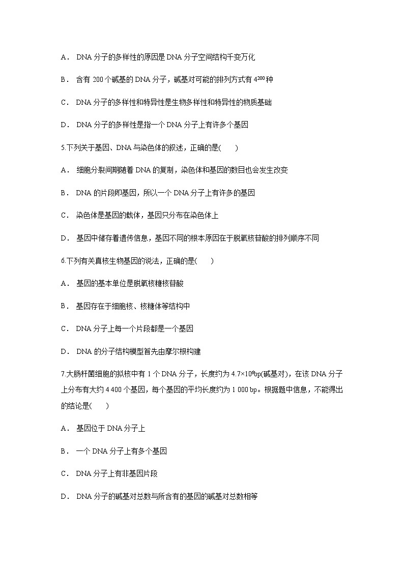 【新教材精创】3.4 基因通常是有遗传效应的DNA片段 练习（1）（原卷版）02